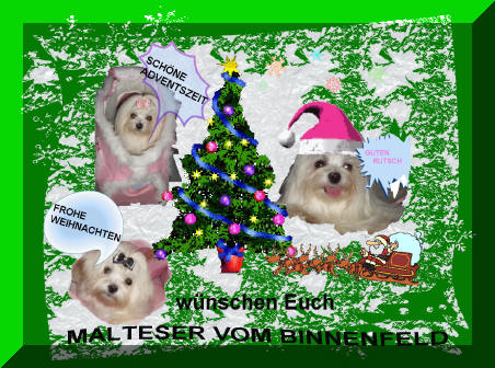 An den Beitrag angehängtes Bild: http://www.asbrock.de/weihnachten.jpg