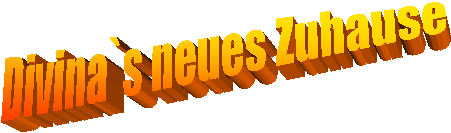 Divina`s neues Zuhause 